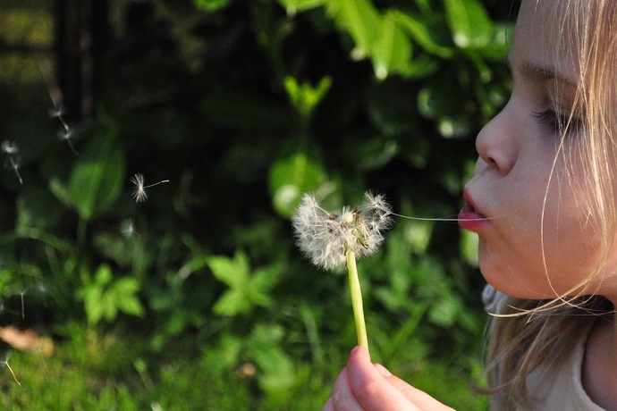 Autism in girls. Girl blowing dandylion.