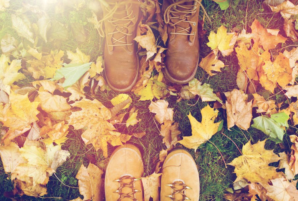 Stonebridge Associated Colleges shoes in the leaves