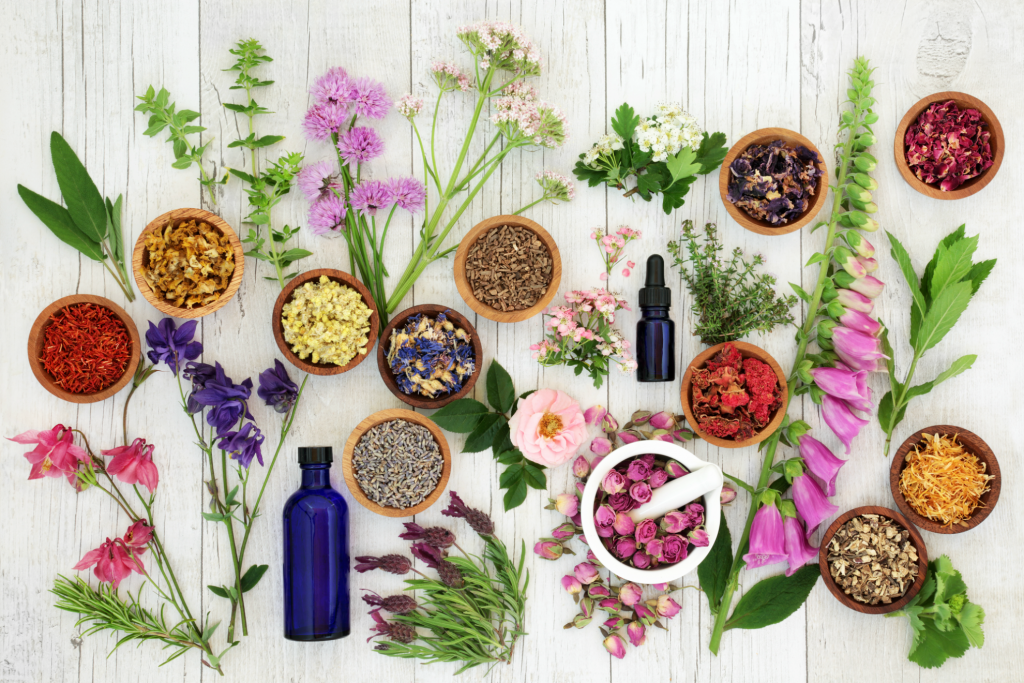 Herbs, plants and flowers placed on a table with instruments for holistic therapy.