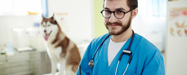 Stonebridge - How do I Become a Veterinary Support Assistant?