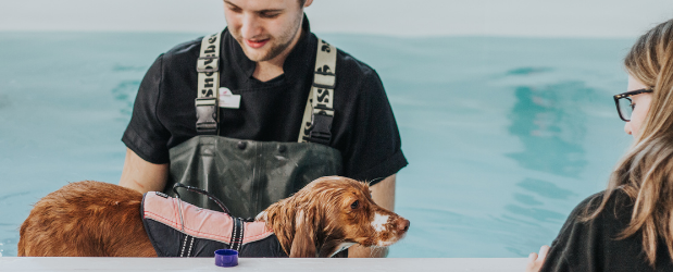 Stonebridge - How to become an Animal Hydrotherapist
