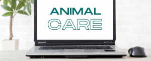 Stonebridge - Animal Care Online Learning