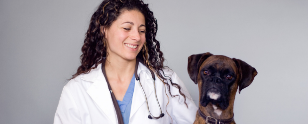 Stonebridge - Careers in Veterinary Care