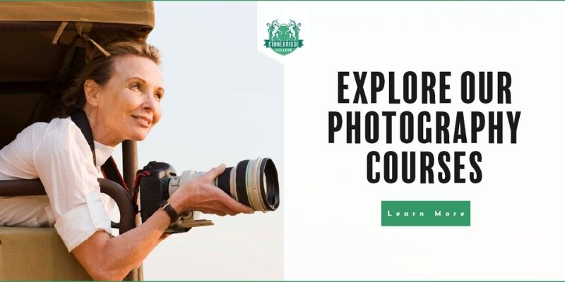 Online Photography Course 