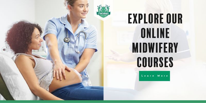 Online Midwifery Courses Stonebridge