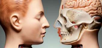 Anatomy and Physiology